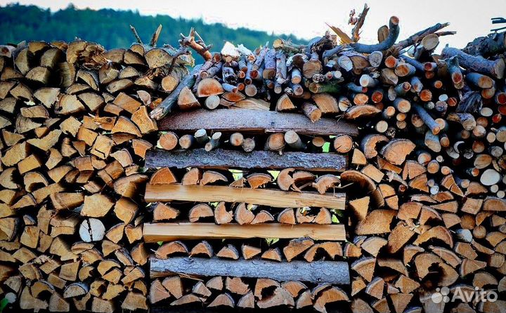Дрова в город