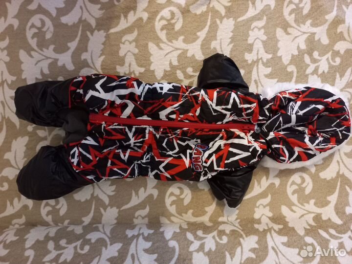 Одежда для собак