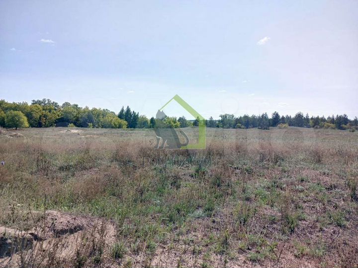 Участок 4,6 га (СНТ, ДНП)