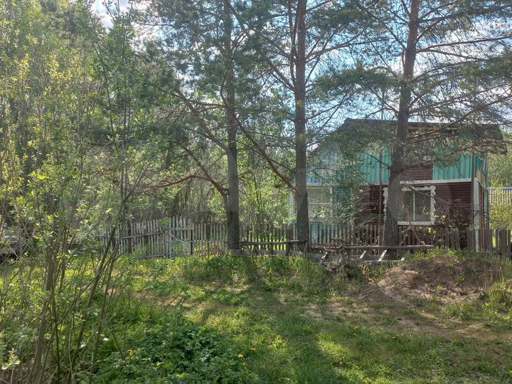 Дом 50 м² на участке 12 сот.