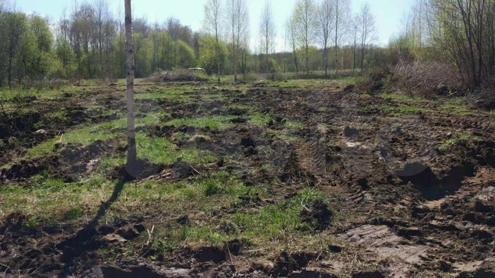 Участок 8 сот. (СНТ, ДНП)