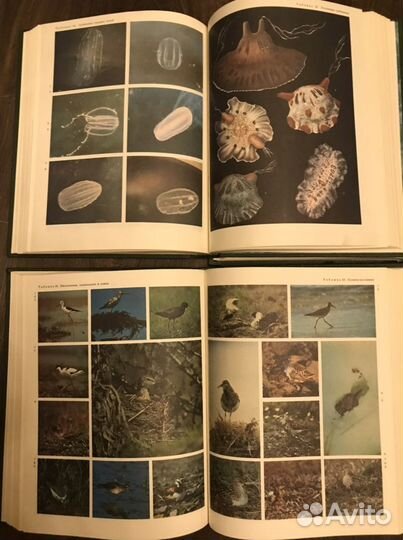 Книга энциклопедия жизнь животных в 6 томах