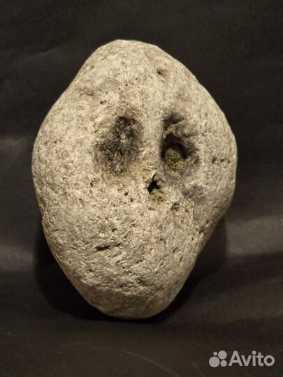 Камень питомец Pet Rock