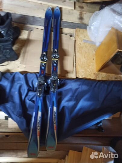 Горные лыжи