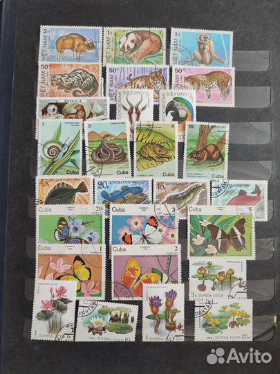 Альбом с марками