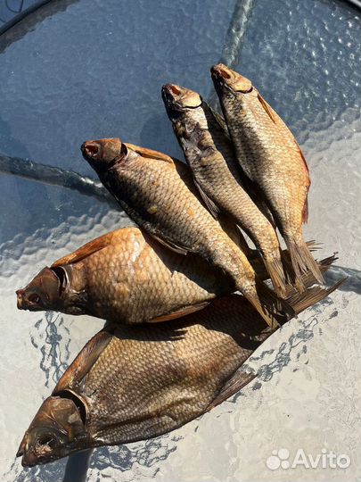 Рыба холодного копчения, вяленная