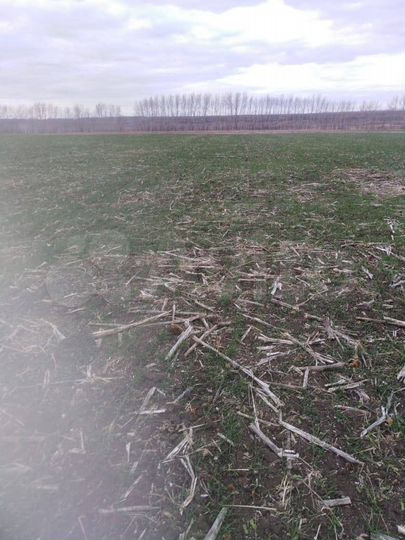 Участок 35 сот. (ИЖС)