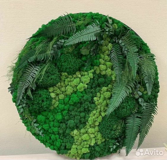 Фитокартина из стабилизированного мха/Панно