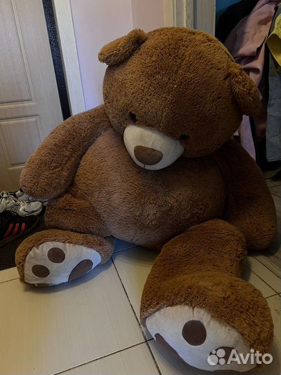 Плюшевый медведь