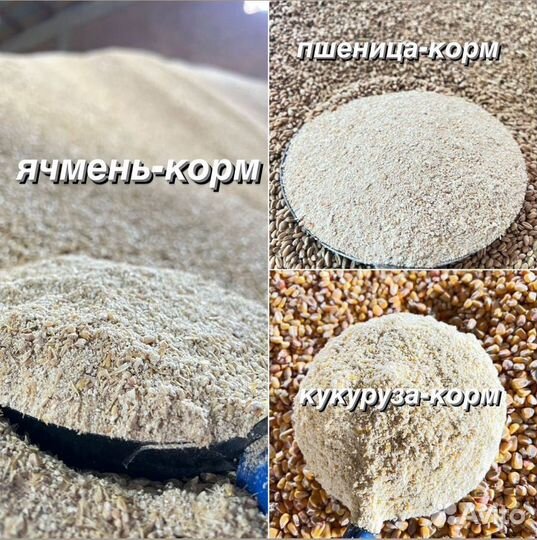Корма для животных