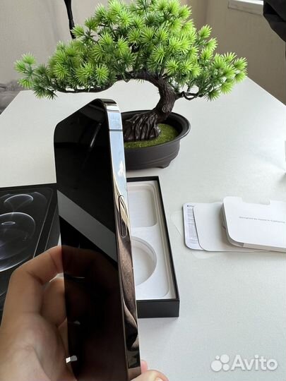 iPhone 12 Pro Max