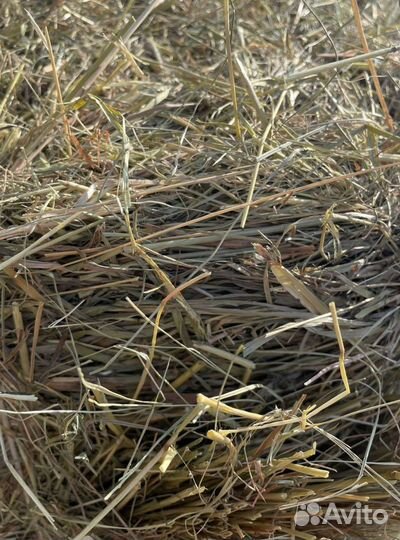 Сено и Стружка в тюках