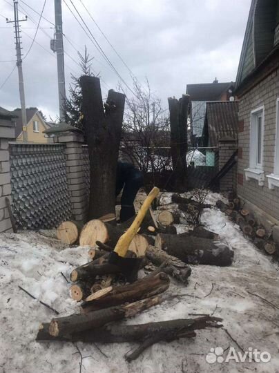 Спил деревьев, расчистка участка, дробление веток