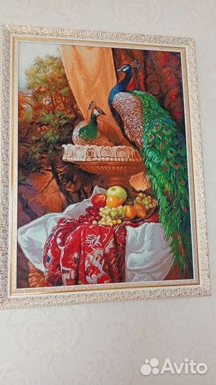 Павлины продажа