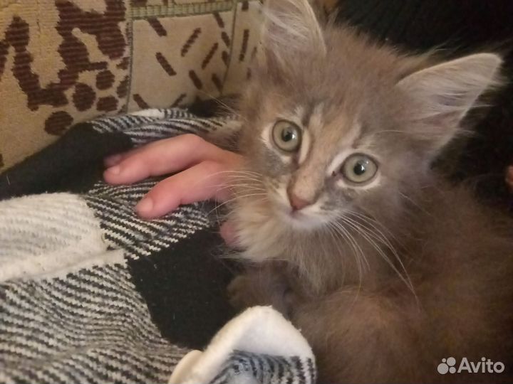 Малыш в добрые надежные руки