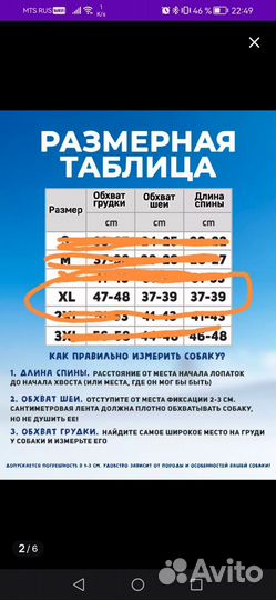 Куртка для собак