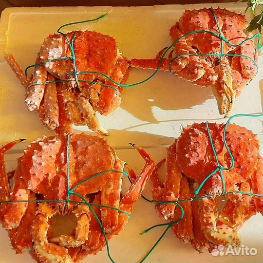 Краб. Икра. Рыба. Икра ежа. Качество