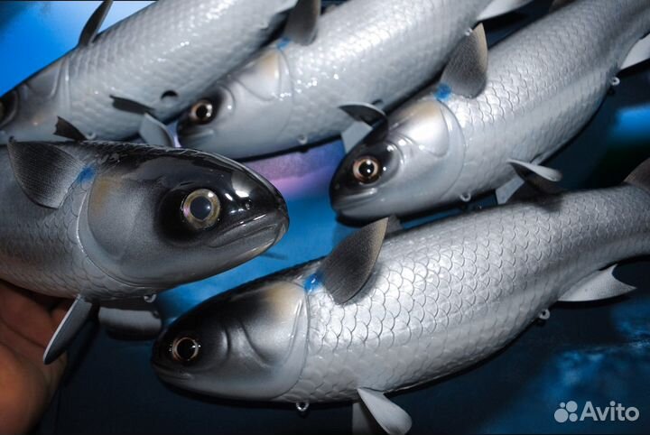 Обновленная Маруся 2023, Супер приманка для рыбы