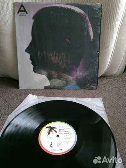 Виниловая пластинка Andy sheppard сост.VG
