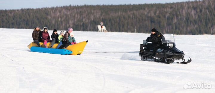 Аренда батута,надувного банана