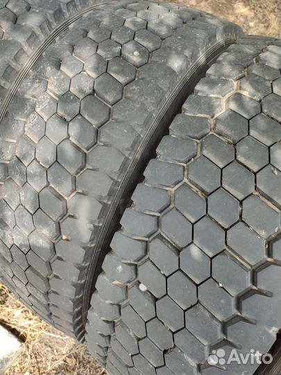 245/70 R19.5 Кама