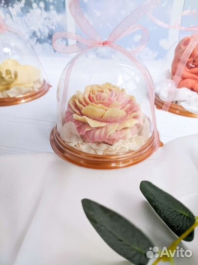 Шоколад для учителя