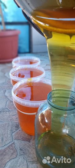 Мёд разнотравье август 2023