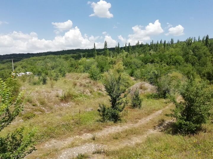 Участок 2,55 га (СНТ, ДНП)