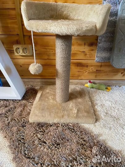 Когтеточка