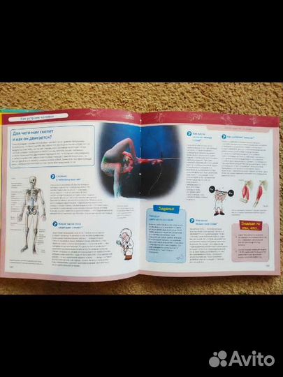 Большая Энциклопедия Знаний