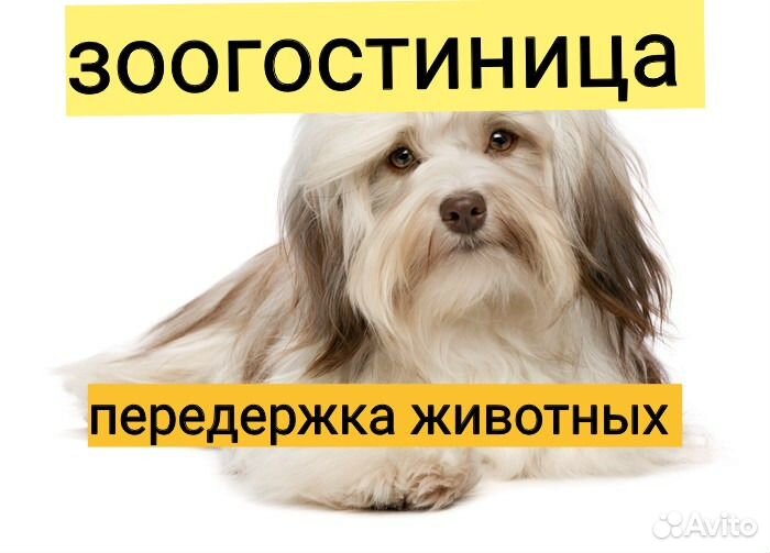 Ждем в гости
