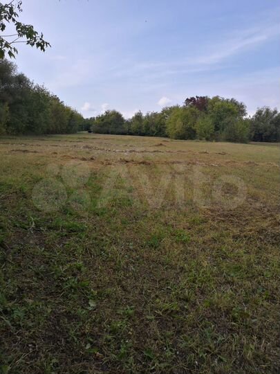 Участок 48 сот. (ИЖС)