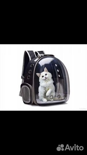 Переноска для кошек