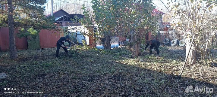 Уборка территории и участка. Вывоз мусора