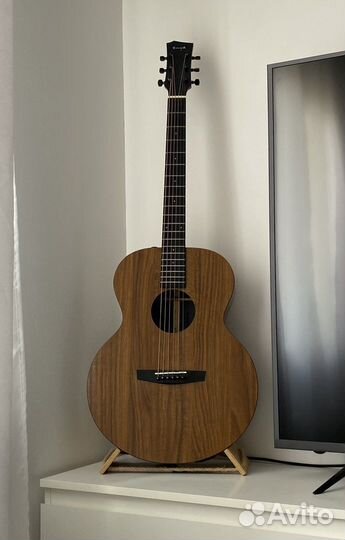 Enya EA-X1EQ+ полный комплект (выход на колонки)