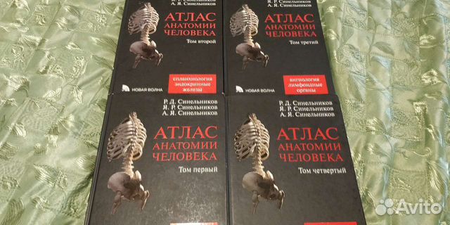 Атлас синельникова анатомия 2 том. Атлас анатомии человека Синельников 2. Атлас анатомии человека Синельников 2 том. Синельников анатомия 1 том. Атлас Синельникова 1 часть.