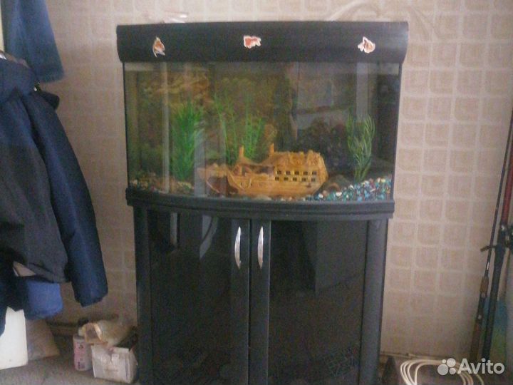 Аквариум панорамный с тумбой