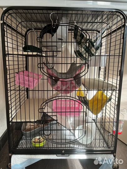 Клетка triol для грызунов и птиц 64*43,5*92,5 см