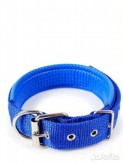 Ошейник и поводки для собак