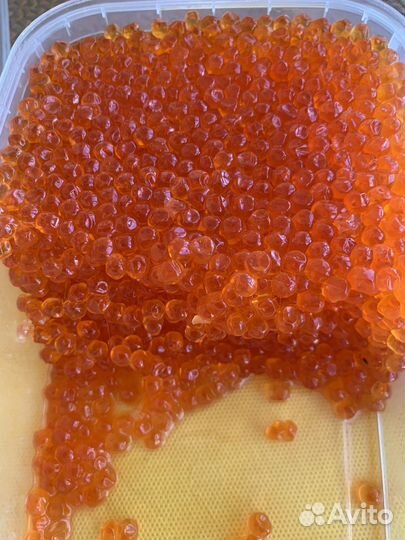 Икра Кеты с Камчатки 2023 год