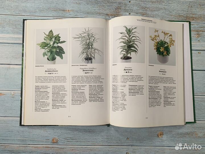 Книги по комнатным цветам