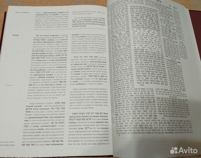 Вавилонский Талмуд. Трактат Бава-Кама, т. 1