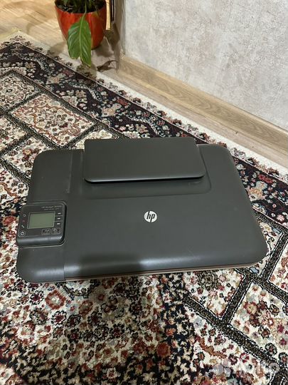 Принтер hp