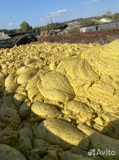 Корма для животных крс, овец,свиней, рыбы