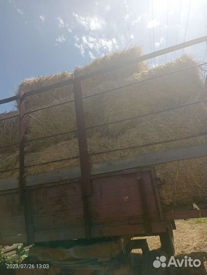 Продам сено в тюках