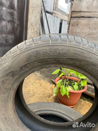 Cordiant Road Runner 175/65 R14