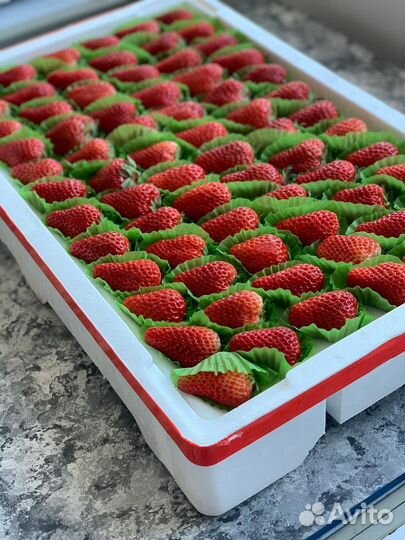 Клубника (свежая)