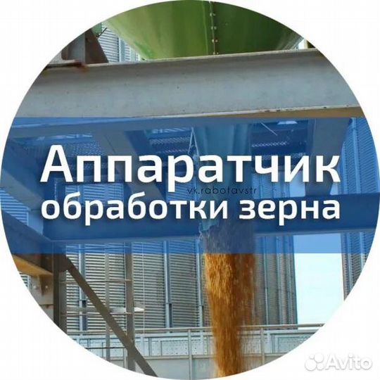 Аппаратчик обработки зерна