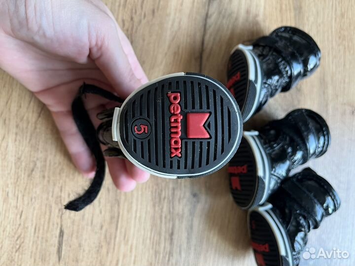 Обувь для маленьких собак