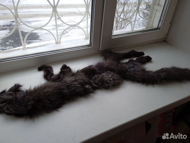 Песцовая шкурка